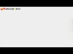 OmniVision Sensor Micro MIPI CCTV Camera Module