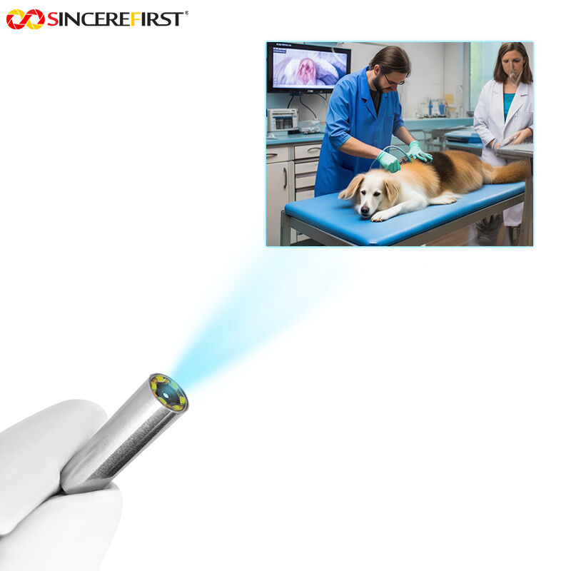 2MP 1080P GC2755 USB2.0 UVC OTG Plug and Play Endoscope Camera Module