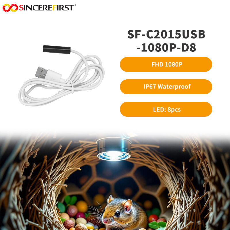 8mm Diameter 2MP 1080P HD USB UVC Fixed Focus Endoscope Camera Module